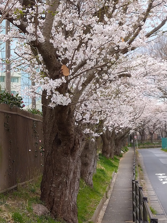 の投稿画像3枚目