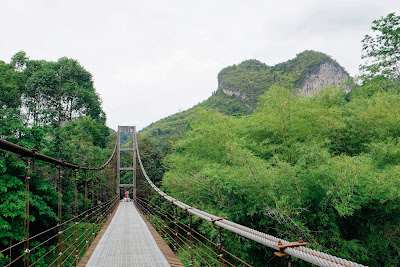 Visit the suspension bridge in Khao Phang