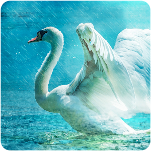 Legend of Lir Mod apk última versión descarga gratuita