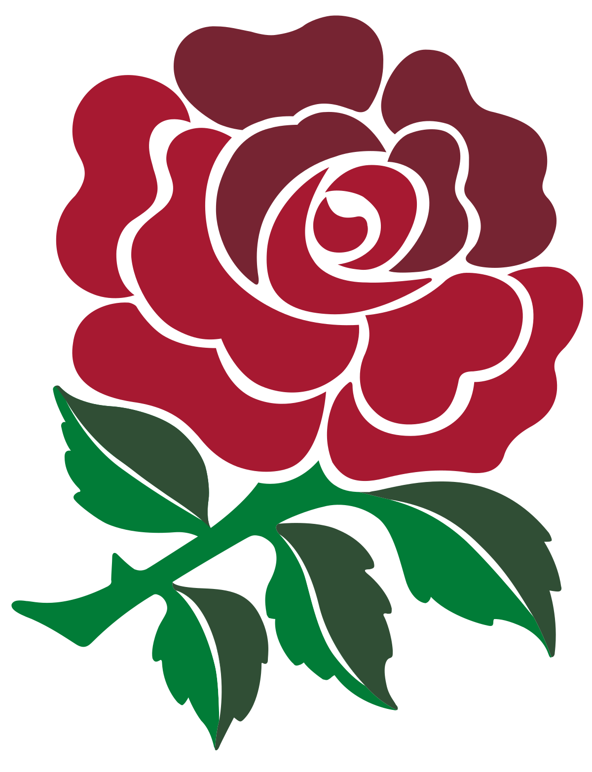 Image result for emblems of rugby world cup Rose