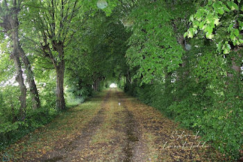 terrain à Saint-Genis-de-Saintonge (17)