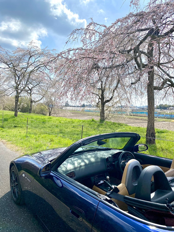 S2000のサクラと愛車・オープンカーのある生活に関するカスタム事例の投稿画像3枚目