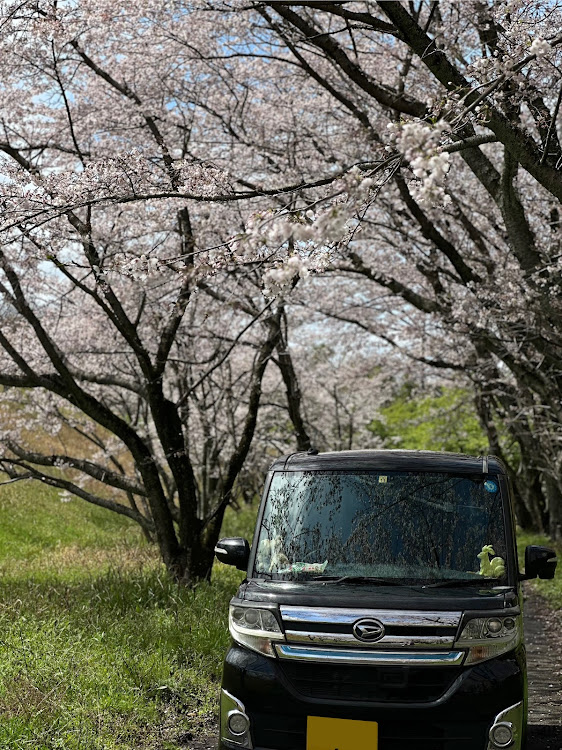 の投稿画像2枚目