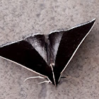 Litter moth