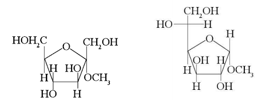 Structure and reactions of fructose