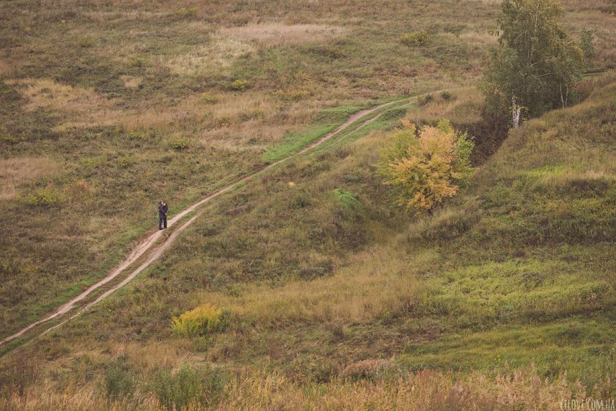 Düğün fotoğrafçısı Anna Gorbenko (annagorbenko). 21 Ocak 2014 fotoları