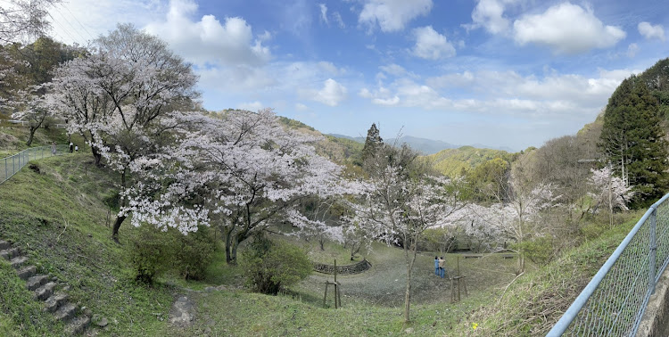 の投稿画像2枚目