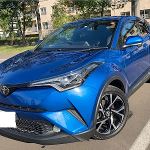 C-HR NGX50