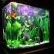 Download aquarium design For PC Windows and Mac 4.0