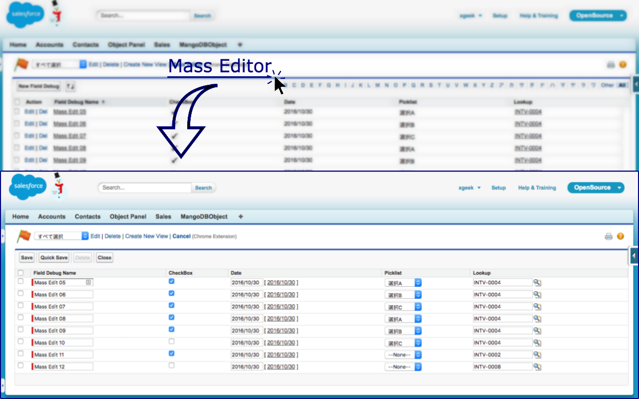 Salesforce Mass Editor Preview image 3