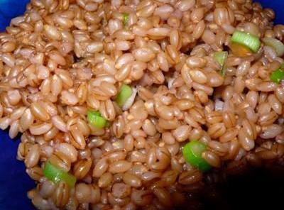 Barley with Browned Butter & Scallions