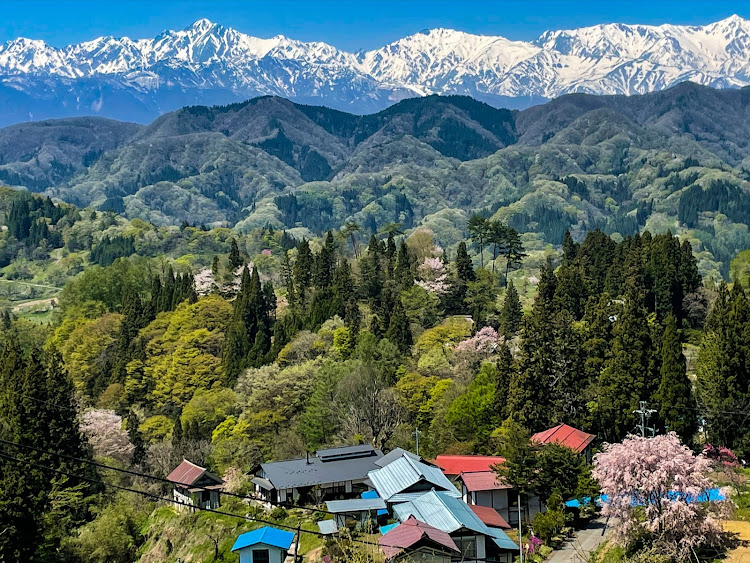 の投稿画像4枚目