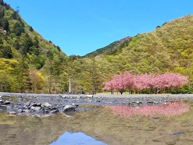 の投稿画像4枚目