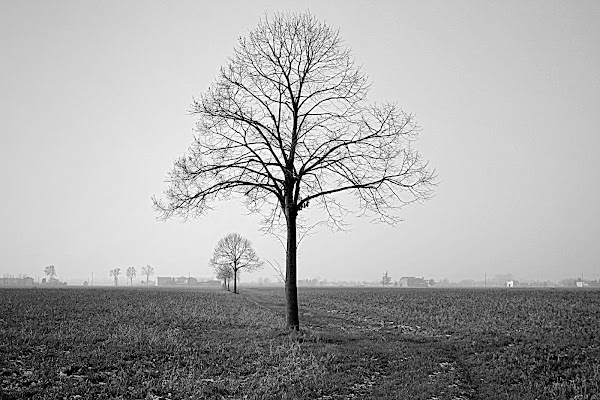 Dal più grande al...più piccolo di Furlissima