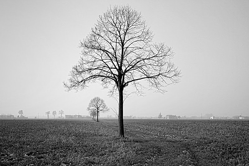 Dal più grande al...più piccolo di Furlissima