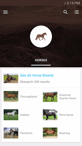 Horses and Ponies - Free Guide