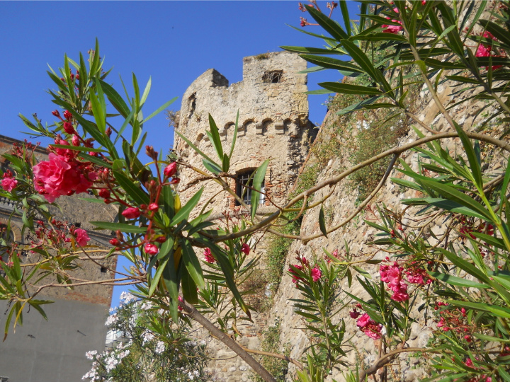 L'ORA IN EUROPA ...TORRETTA TRA I FIORI di danilocika