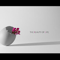 The beauty of Life di 