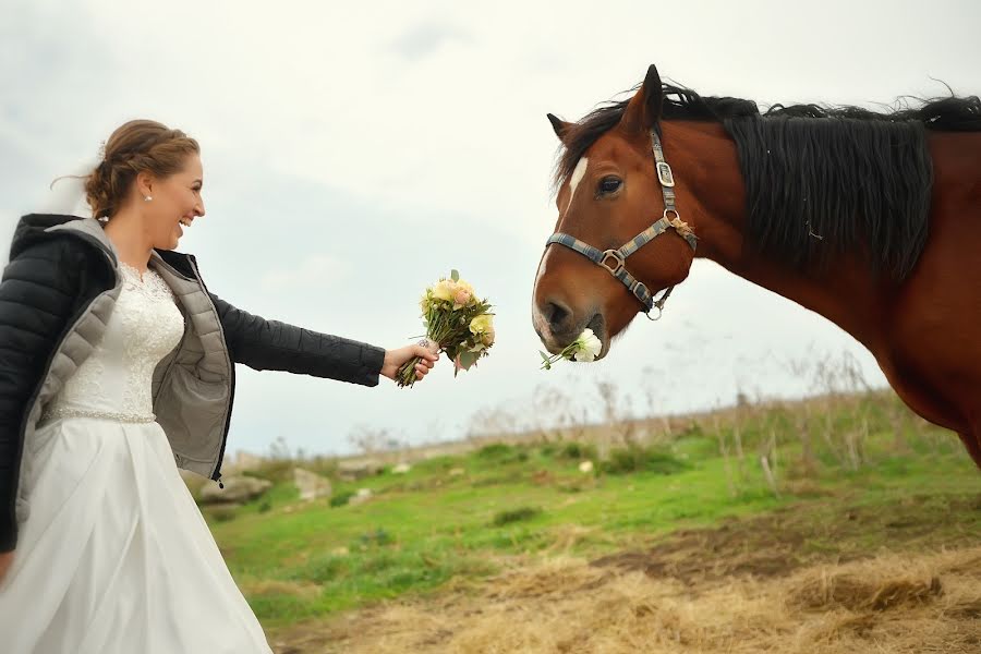 Fotógrafo de casamento Anatoliy Docenko (anatoliydcn82). Foto de 17 de novembro 2016