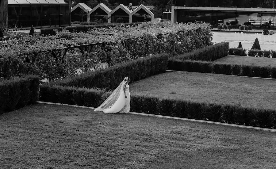 Fotógrafo de bodas Irina Regulskaya (reguliskaya). Foto del 27 de octubre 2019