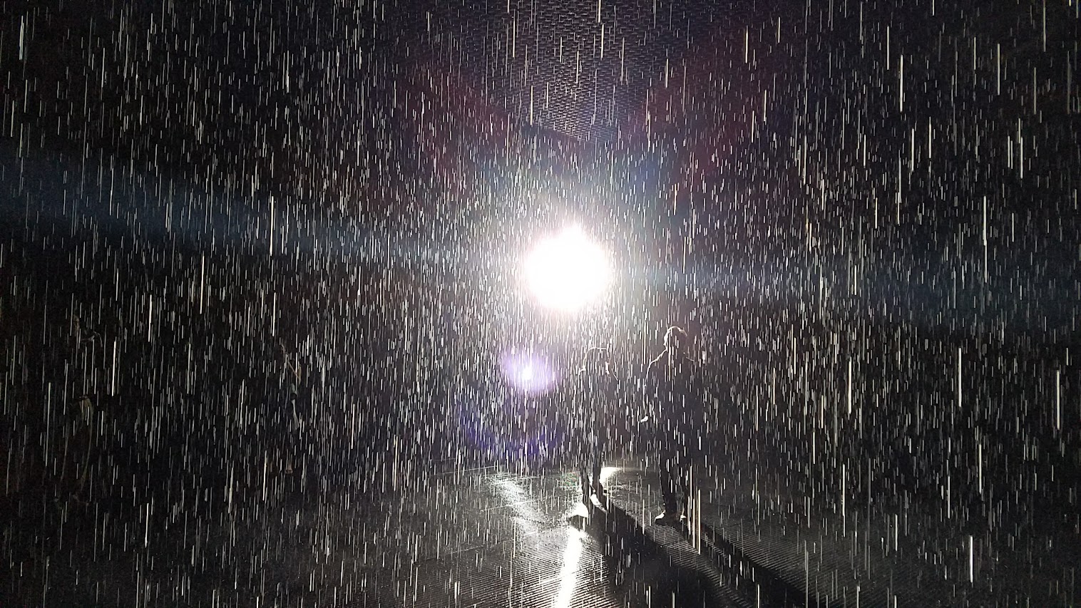 Rain Room by art collective Random International. The timed tickets limited viewers to a small group for 15 minutes. During that time, the audience is treated to a dark room illuminated with dramatic spotlight and torrents of rain controlled by technology that senses where a person is and makes it stop raining where you stand but continues to fall around you.