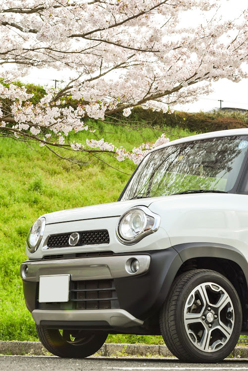 フレアクロスオーバーのサクラと愛車・フレアクロスオーバー・桜とコラボ・4月もよろしくお願い致します🌸・PickUpチャレンジに関するカスタム事例の投稿画像1枚目