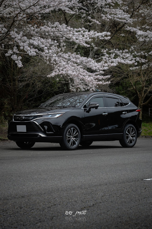 ハリアーのハリアー80・サクラと愛車・桜とコラボ・納車・ドライブに関するカスタム事例の投稿画像1枚目