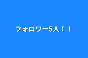 フォロワー5人！！