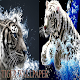 Download tiger wallpaper For PC Windows and Mac 1.0