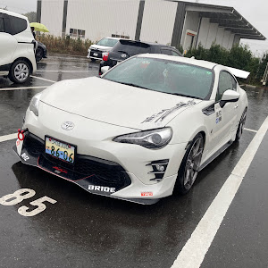 86 ZN6