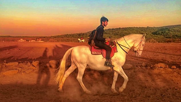 Horse Riding Mahabaleshwar Things To Do - Places to Visit