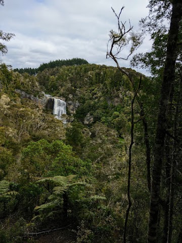 Hunua Falls Loop Track Viewpoint