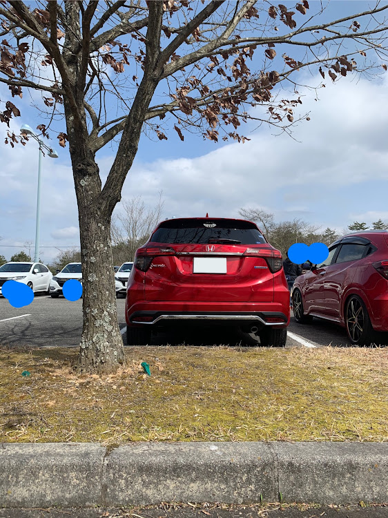ヴェゼルのヴェゼル・西日本オフ・コラボ撮影・車高調・ホイールに関するカスタム事例の投稿画像1枚目