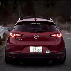 CX-3 DKEFW