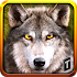 Wolf Life Simulation 20171.0