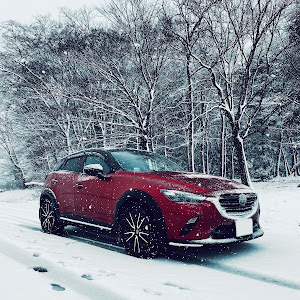 CX-3 DK8AW