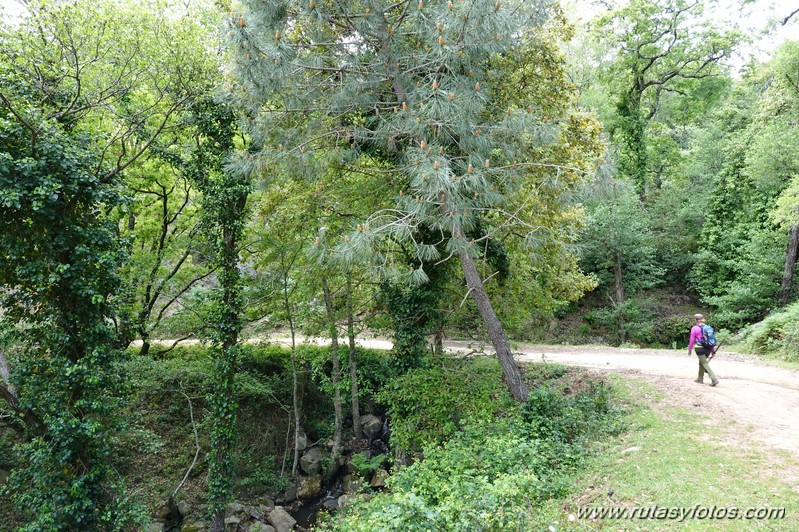 Sierra de Montecoche