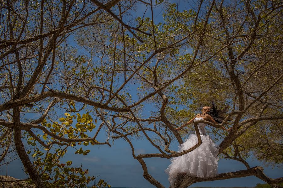 Fotografo di matrimoni Carlos Negrín (carlosnegrin). Foto del 19 febbraio 2016