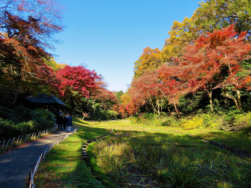 The Meiji Shrine Tokyo Japan 2017