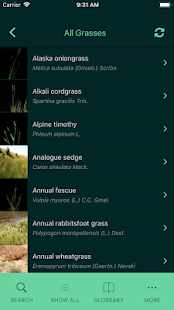 Idaho Grasses(圖1)-速報App