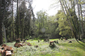 terrain à Dampierre-en-Yvelines (78)