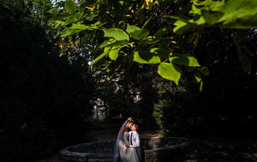 Fotograful de nuntă Pavel Gomzyakov (pavelgo). Fotografia din 5 iulie 2019