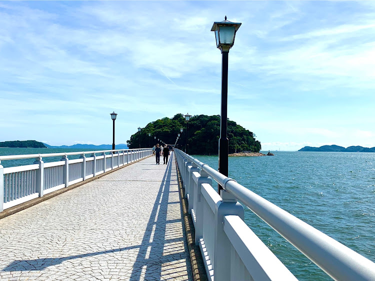 カローラスポーツの西浦シーサイドロード・ドライブ・夏満喫・海とコラボ・ヤシの木🌴に関するカスタム事例の投稿画像5枚目