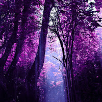 Purple Paradise di 