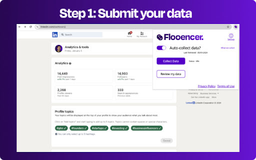 Flooencer Data Analytics