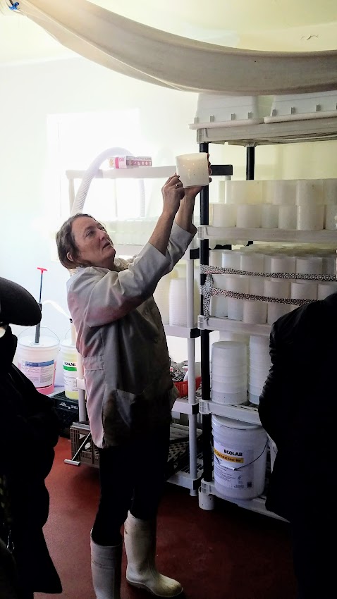 Artisan Cheese Festival tour 2018, a visit with owner Lisa Gottreich of Bohemian Creamery showing us and telling us the story behind the scenes of an artisan cheesemaker. Here you see Lisa showing us some of the molds she uses to form some of the harder cheeses she makes and dry them to varying degrees or in some cases press them while aging