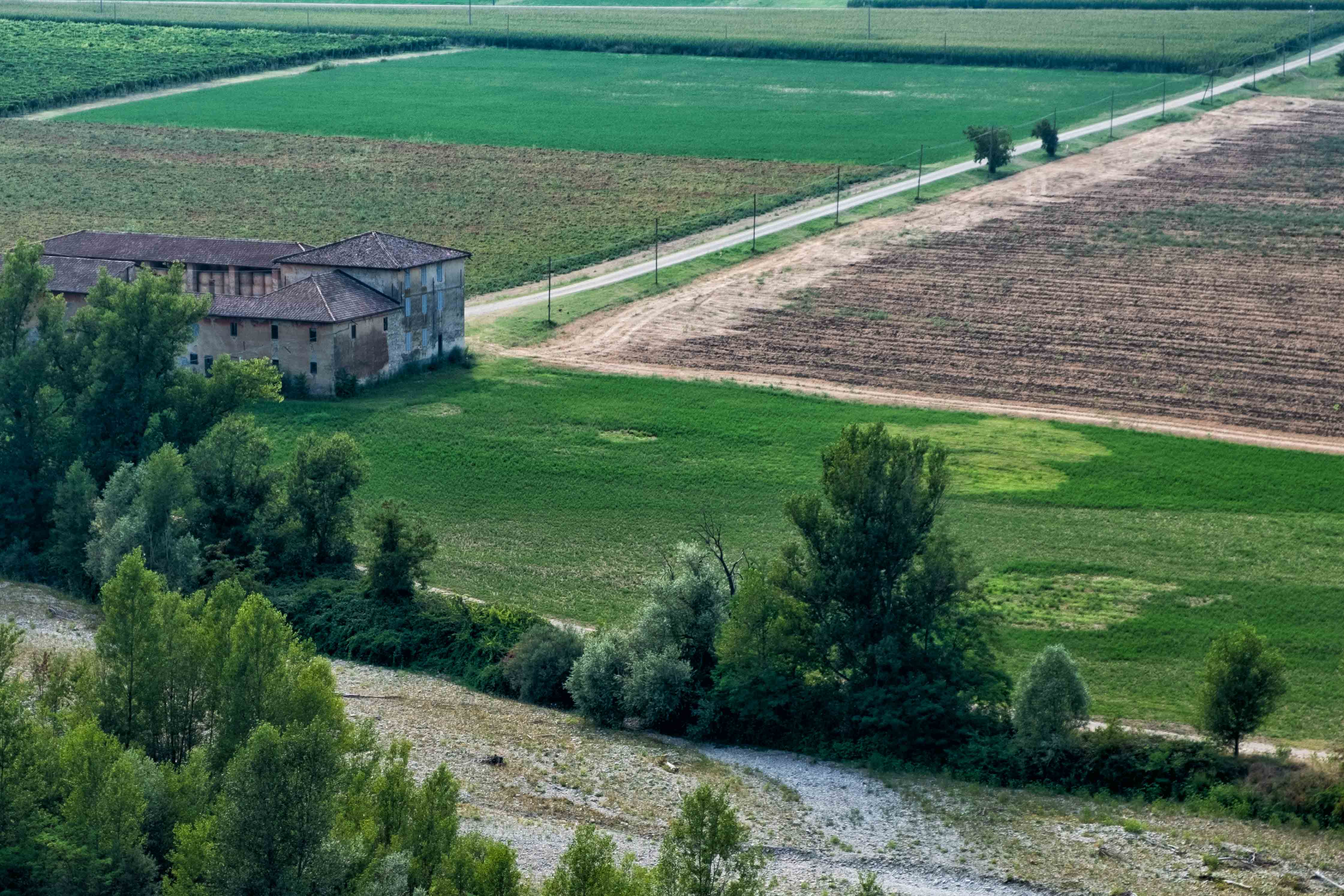 Ritorno al verde di Gian Piero Bacchetta