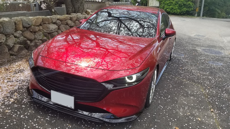 MAZDA3の桜とコラボ・ソウルレッド・車が好きな人と繋がりたい・桜と愛車に関するカスタム事例の投稿画像3枚目