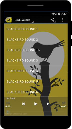 Blackbird Sounds