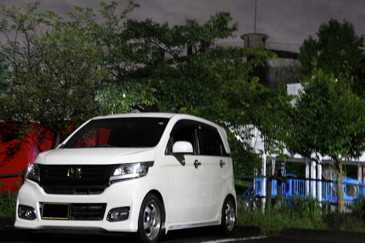 N-WGN カスタムのworkwheels・meister S1・Canon・猫・公園に関するカスタム事例の投稿画像2枚目